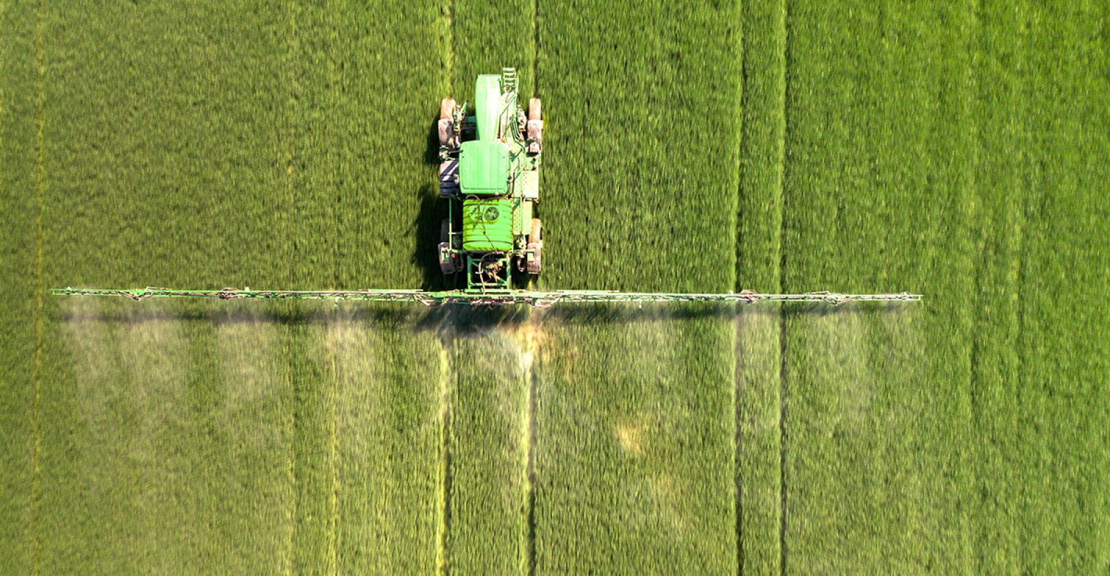 Tractor spraying chemical pesticides with sprayer on the large green agricultural field at spring.